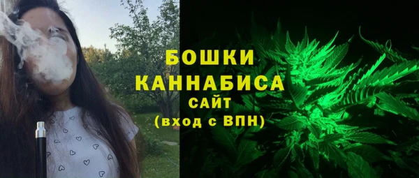 ГАЛЛЮЦИНОГЕННЫЕ ГРИБЫ Осташков