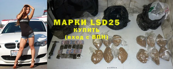 ГАЛЛЮЦИНОГЕННЫЕ ГРИБЫ Осташков