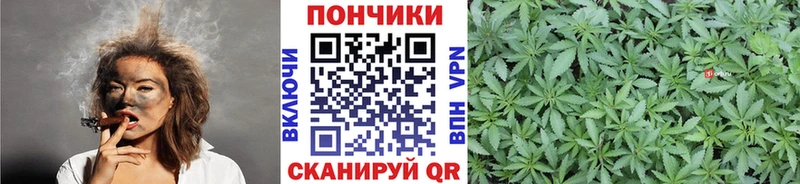 Бошки марихуана гибрид  Купить где  Туймазы 